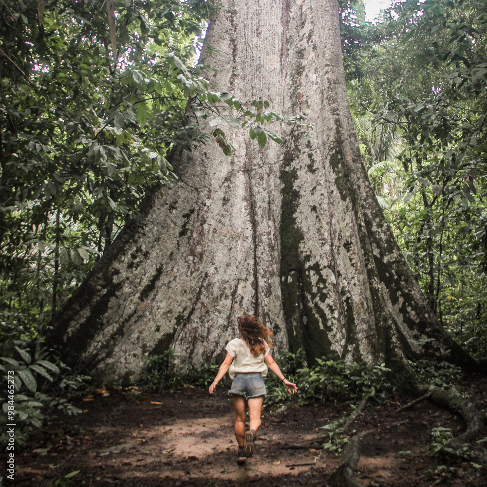 Wall mural mulher ao lado de sumaúma gigante em alta floresta, mato grosso