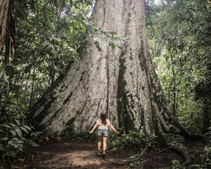 mulher ao lado de sumaúma gigante em alta floresta, mato grosso 
