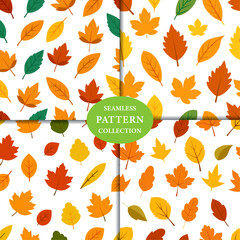 Fall Leaves Seamless Pattern Background