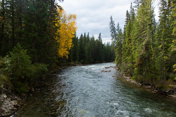 Athabasca River through its passage in Maligne Canyon
