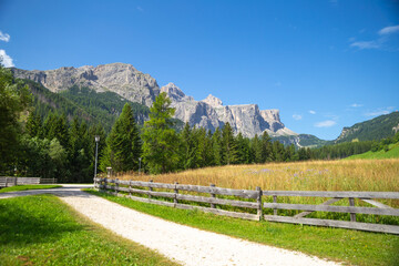 a hiking trail in the village heading to the pine forest with the rocky mountain, Dolomites, Italy