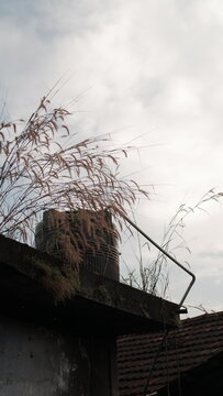 stork nest on a roof