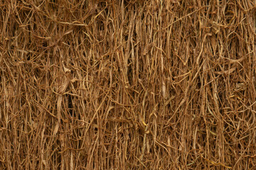 The process of drying chopped tobacco leaves. A close-up of a piece of dried tobacco leaf. The main ingredient for cigarette products.
