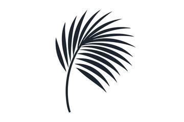 Obraz premium Palm leaf silhouette vector illustration 