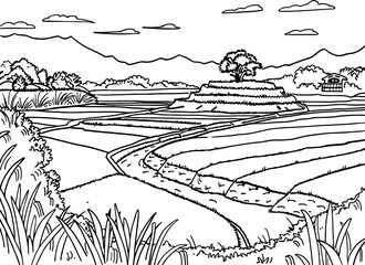 Fototapeta premium Rice field landscape drawing