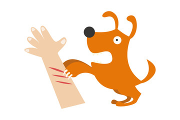 dog bite lick and scratch. rabies vaccine prevention