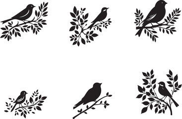 set of birds
