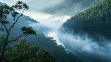 A misty morning in Ackmon National Park, with fog rolling through the trees and a river cutting through the valley below.