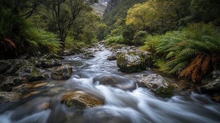Obraz premium A mountain stream flowing over smooth rocks in Ackmon National Park, with lush ferns and moss growing along the banks.