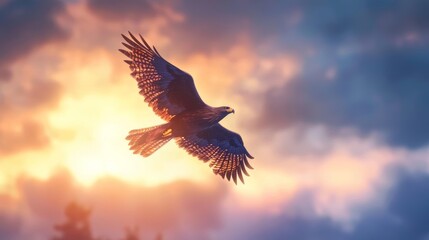 Fototapeta premium Majestic hawk soaring through the sunset sky, vibrant colors and dramatic clouds.