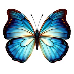 Blue Butterfly:  Intricate Wings