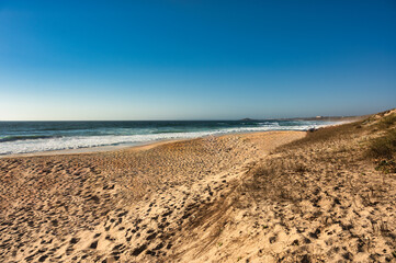Arrifana beachin alentejo Portugal