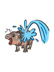 Baby Pygmy hippo