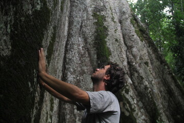 pessoa ao lado de sumaúma gigantesca e centenária na floresta amazônica em alta floresta, mato grosso 