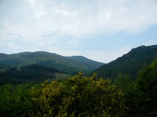 Naklejka premium landscape with mountains and flowering trees