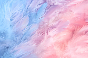 Colored gradient feather backgrounds close up