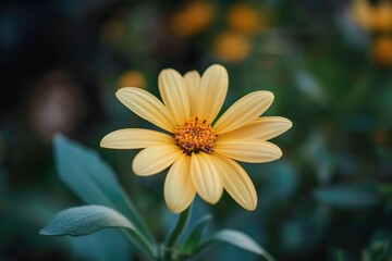 orange in the heart of a yellow blossom. The flower is the focal point of attention and is in full bloom against a fuzzy background, Generative AI.