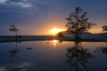 A beautiful sunset over a body of water with a tree in the foreground ,thongkrut beach ,koh samui, thailand