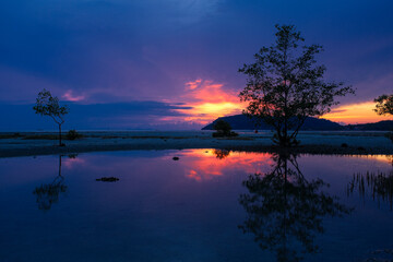 A beautiful sunset over a body of water with a tree in the foreground ,thongkrut beach ,koh samui, thailand