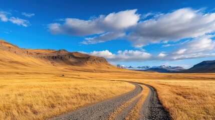 Fototapeta premium A road winds through a dry, barren landscape
