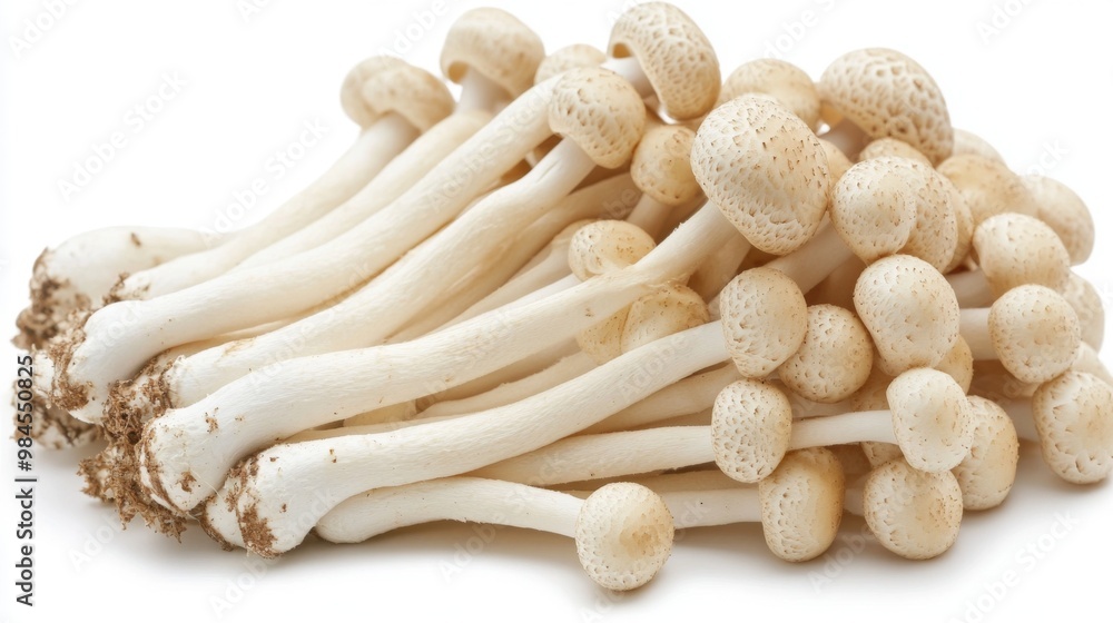 Poster a pile of yanagi mushrooms on a clean white background, with their long, slender stems creating a vi