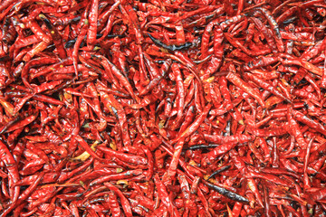 Fototapeta premium Close-up of vibrant red dried chili peppers. Ideal for food, spice, and culinary themes, capturing the texture and rich color of this essential cooking ingredient.