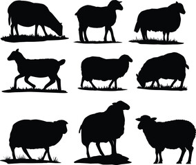 Illustration of Sheep Silhouette one set