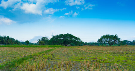 beautiful nature landscape springtime background, beautiful nature peaceful place