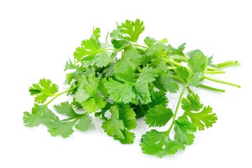 Fototapeta premium Fresh cilantro leaves on a clean white background, ideal for food and culinary themed projects