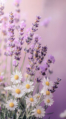Lavender and chamomile flowers create soothing herbal composition, showcasing delicate purple and white blooms. This serene arrangement evokes sense of calm and tranquility