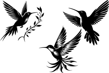 hummingbird silhouette vector style with white background