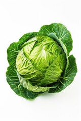 Fototapeta premium Fresh cabbage head on a clean white surface