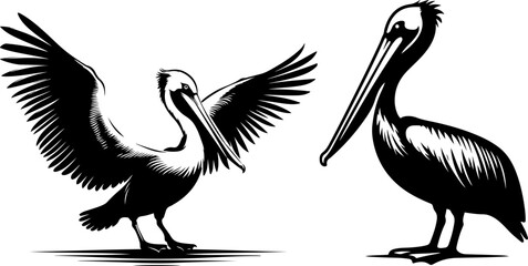 pelican silhouette vector style with white background