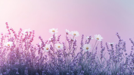 Fototapeta premium Lavender and chamomile fields in soft pastel tones create serene and calming atmosphere, perfect for relaxation and tranquility. gentle hues enhance beauty of nature