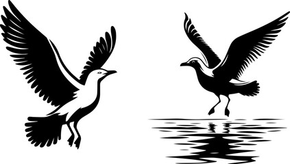 seagull silhouette vector style with white background