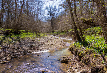 the structure of the bottom is a shallow mountain river, an old man and nature walks, a sunny day