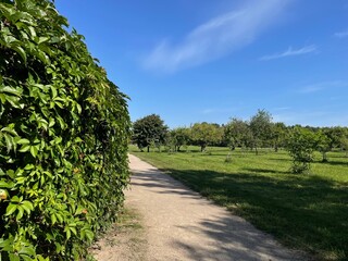 path in the park
