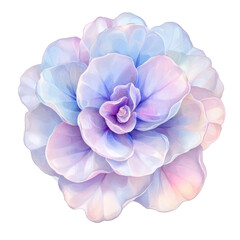 PNG  Gardenia flower illustration delicate.