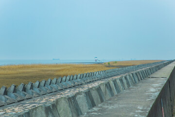 Seawall and reed marshes on Hengsha Island, Chongming District, Shanghai