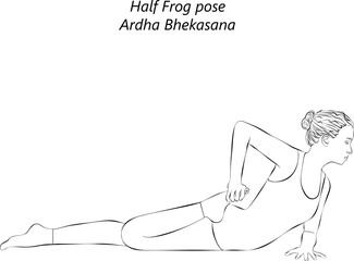 Sketch of young woman practicing Ardha Bhekasana yoga pose. Half Frog pose. Intermediate Difficulty. Isolated vector illustration.