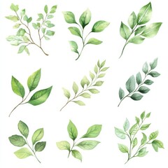 Watercolor Green Leaves Illustration, Hand Drawn, Watercolor Illustration, Leaves, Botanical