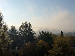 Obraz premium Foggy morning in the city. Autumn landscape with fog.