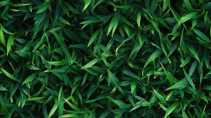 Fototapeta premium Seamless patterns of green grass texture in a colorful garden background viewed from above