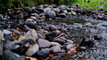 Fototapeta premium Stones at the side of the River in the tropical forest. Rocks in a mountain river close up.