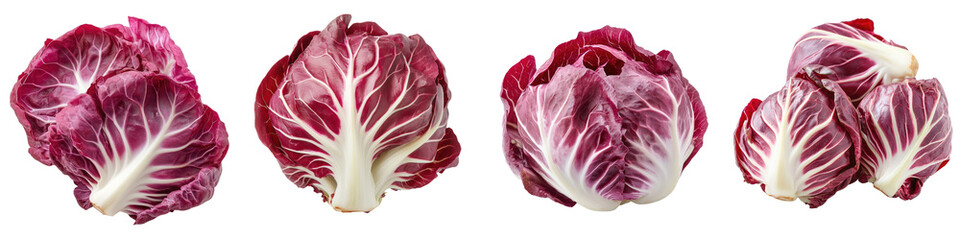 Obraz premium Radicchio - Bitter and crunchy perfect for salads Isolated on Clear White Background Highly Detailed 