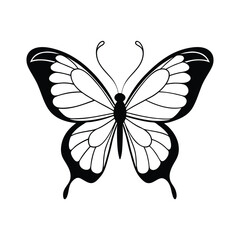 Black butterfly vector design. Line art