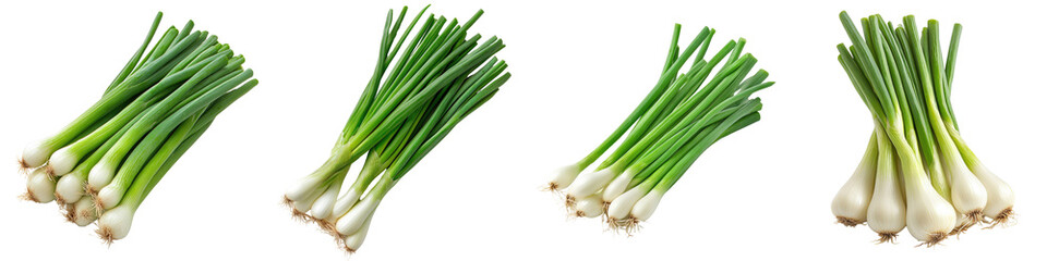Green Onions/Scallions - Mild and fresh Isolated on Clear White Background Highly Detailed