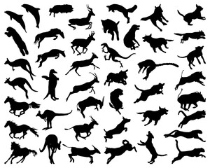 Black silhouettes of  animals  jumping on a white background	