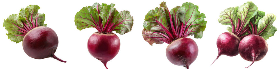 Beetroot - Earthy and sweet Isolated on Clear White Background Highly Detailed 
