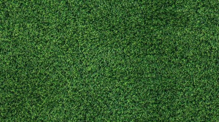 Obraz premium Artificial grass texture background in green